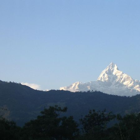 Pokhara Palace Hotel Zewnętrze zdjęcie